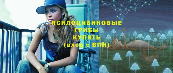 амф Абдулино