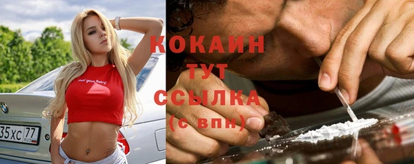 стаф Абаза